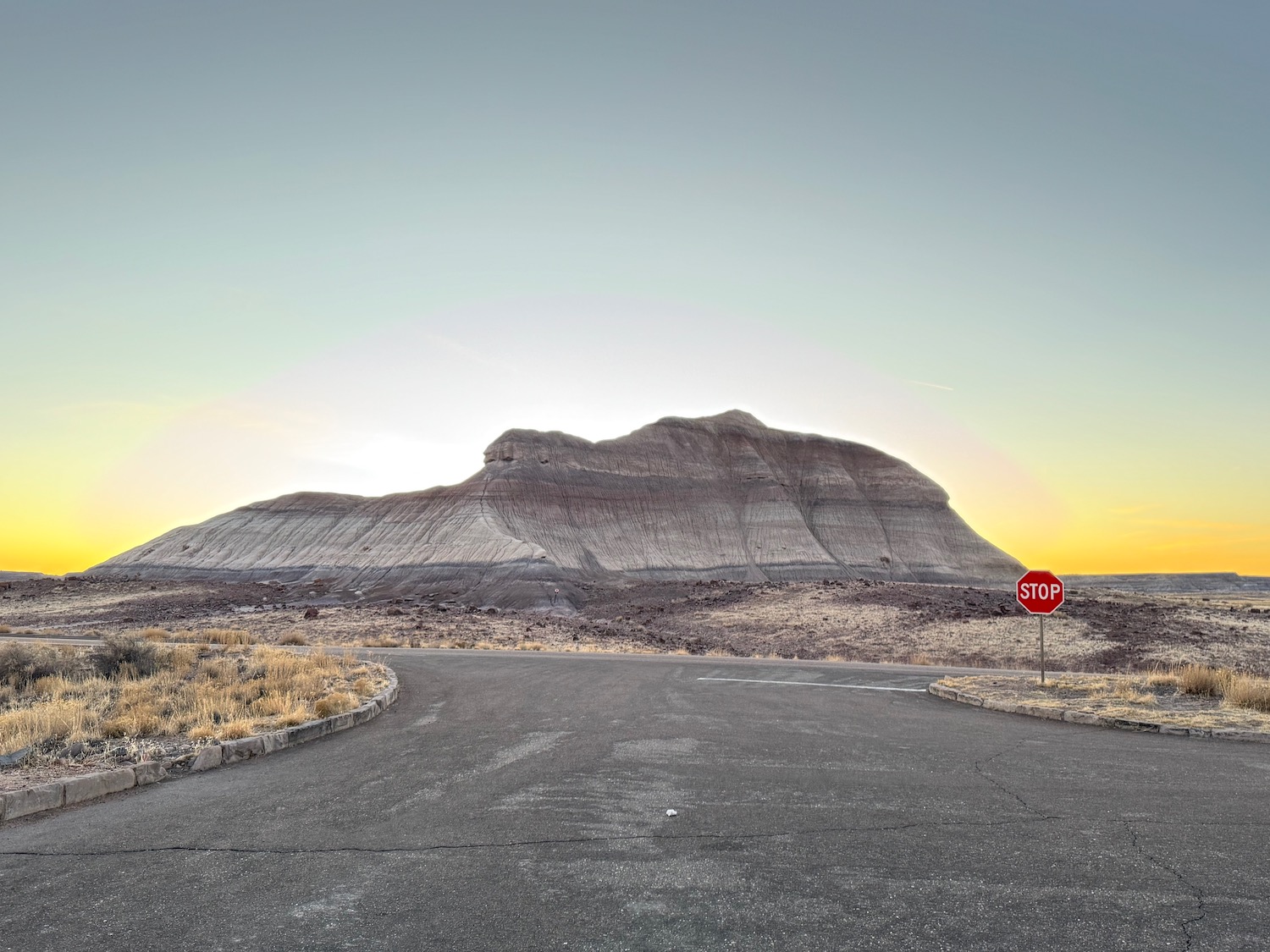 a road with a stop sign in the middle of a desert