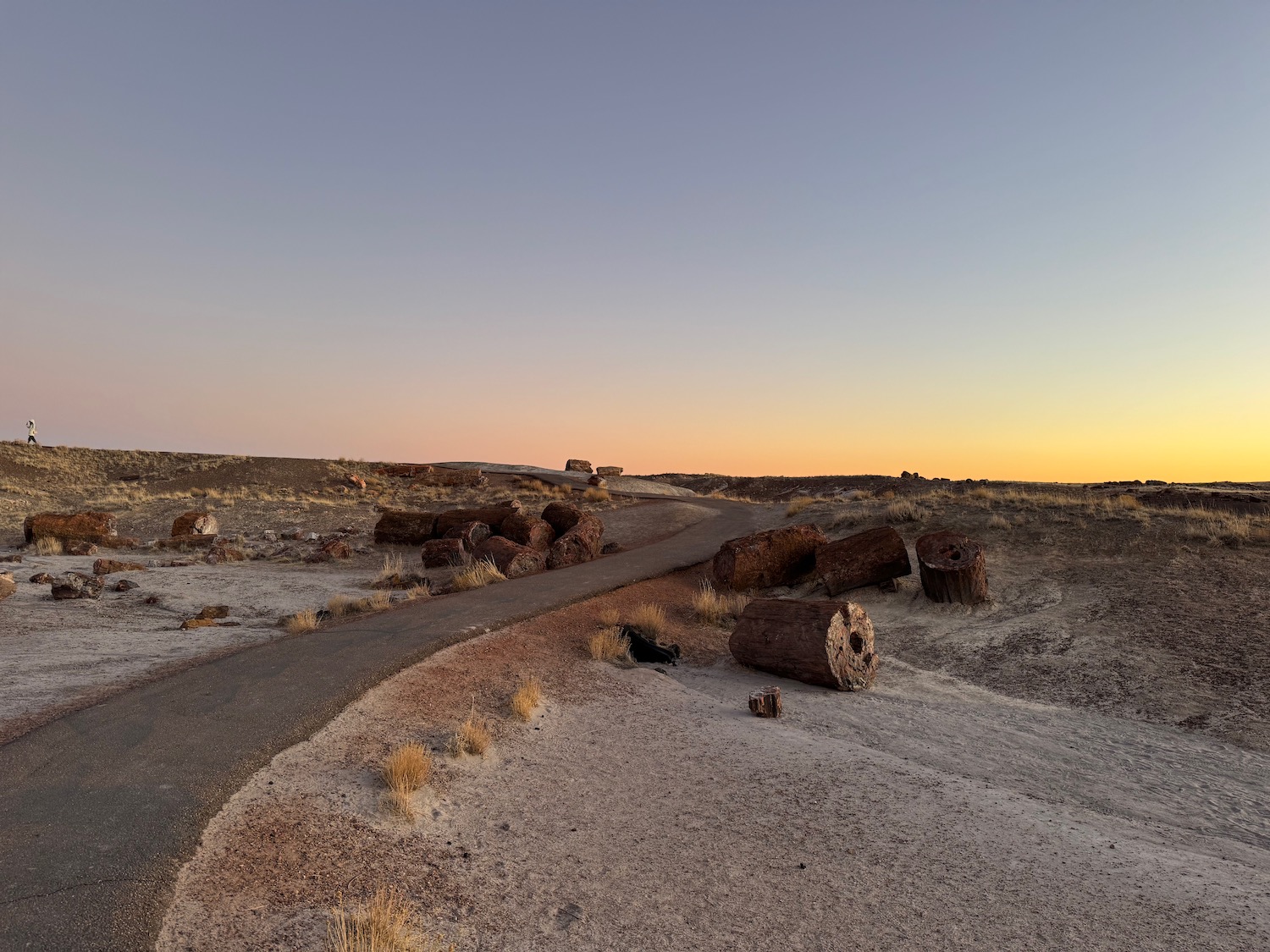 a road in the desert with logs