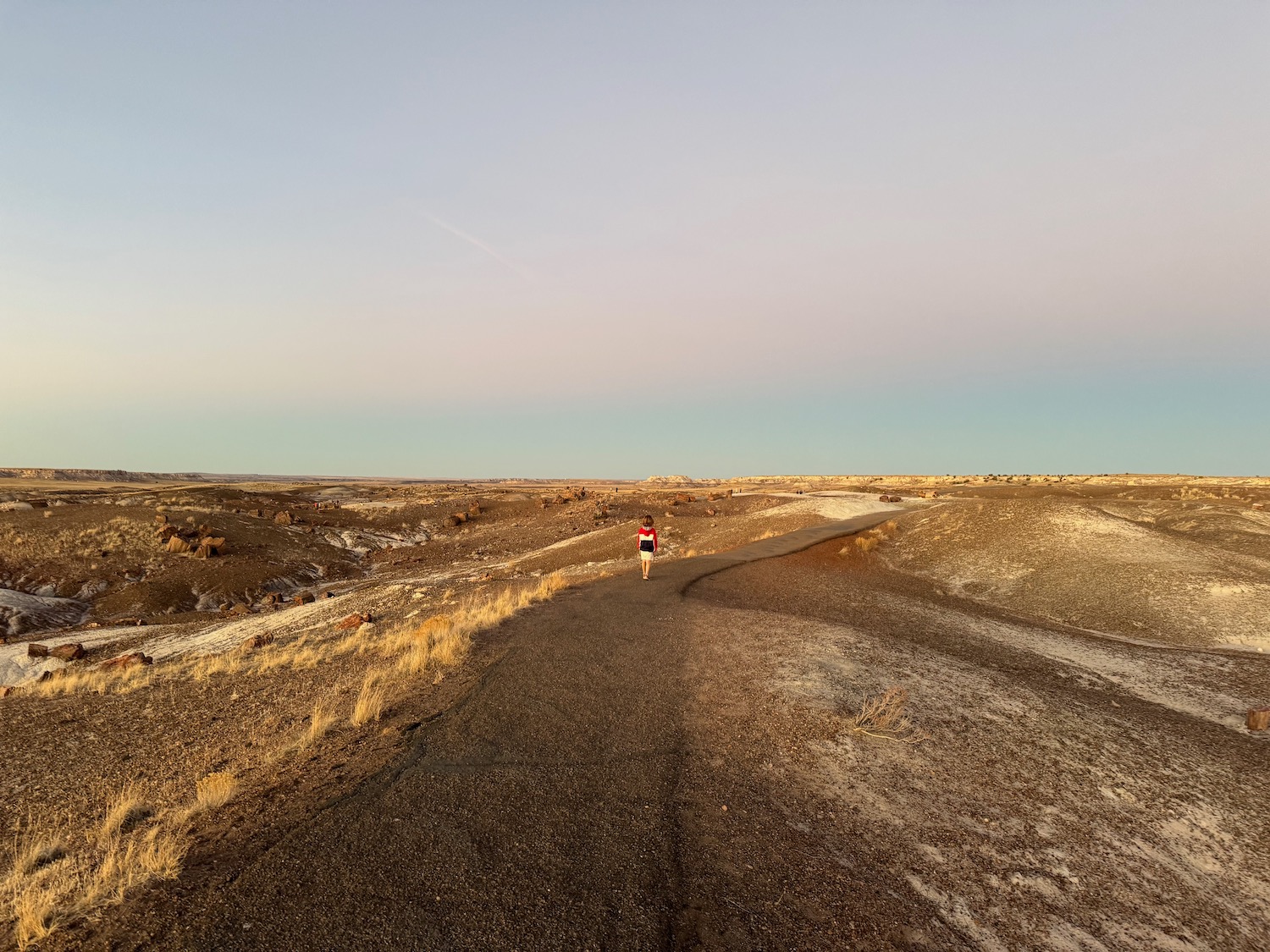 a person running on a dirt road