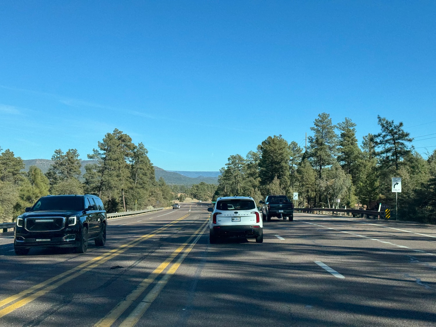 cars on a road with trees