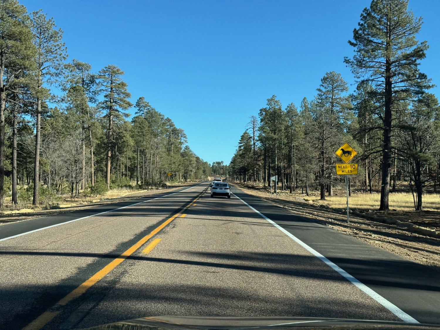 a car driving on a road with trees in the background