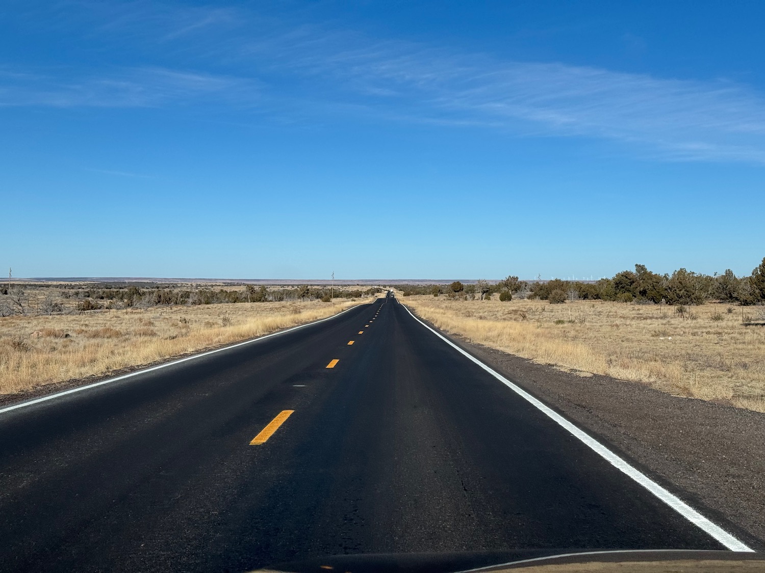 a road with trees in the distance