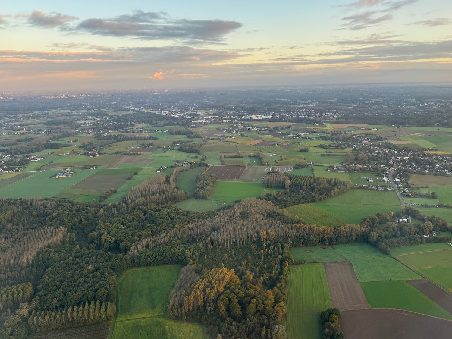 aerial view of a landscape with trees and buildings