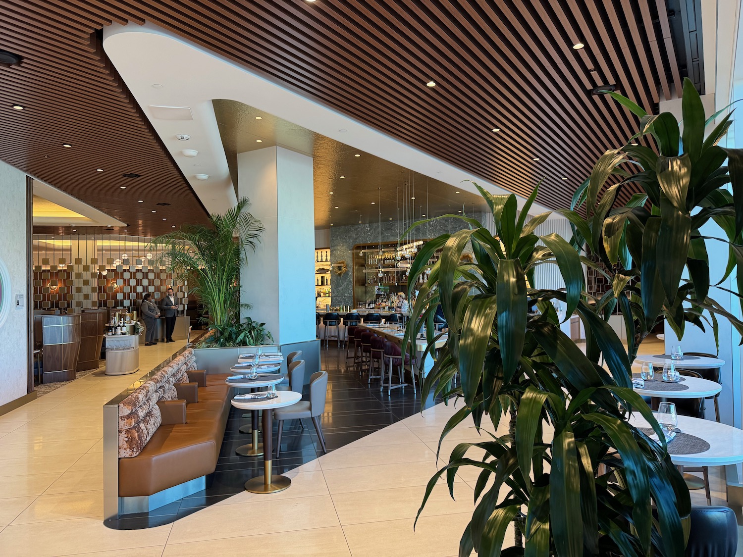 a large indoor plant in a restaurant