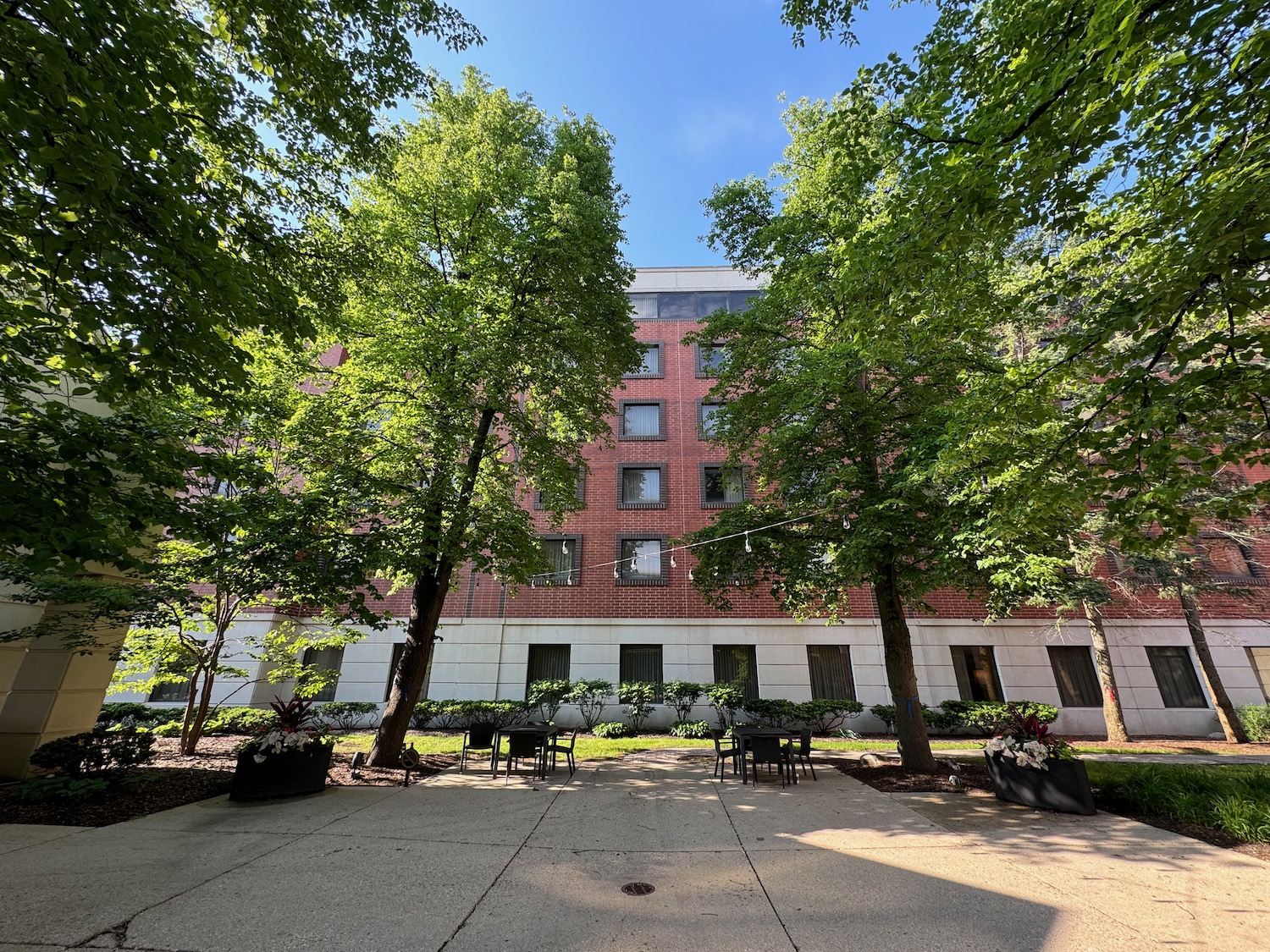 a building with trees around it