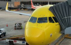 will spirit airlines survive