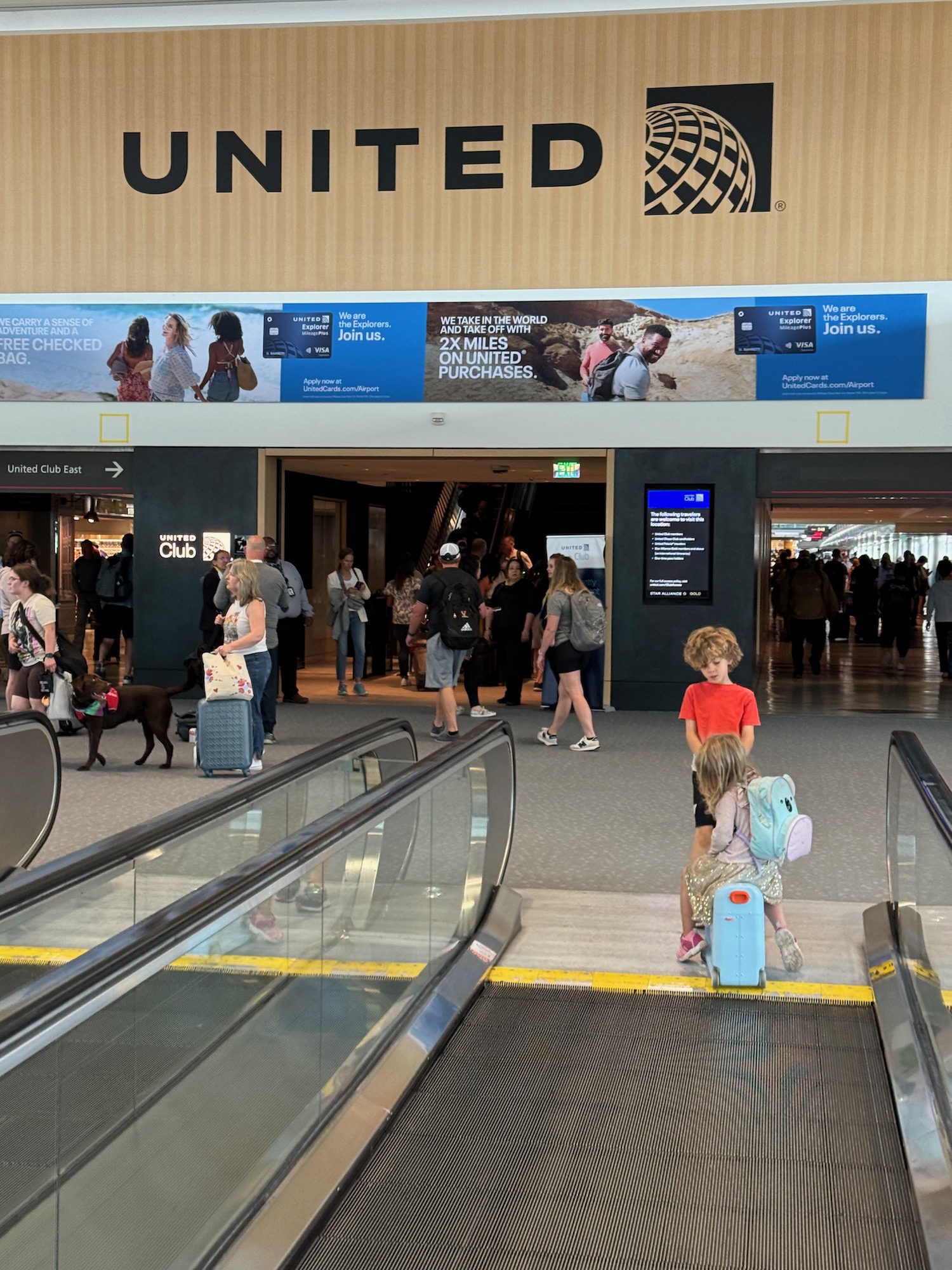 people walking on an escalator in a terminal