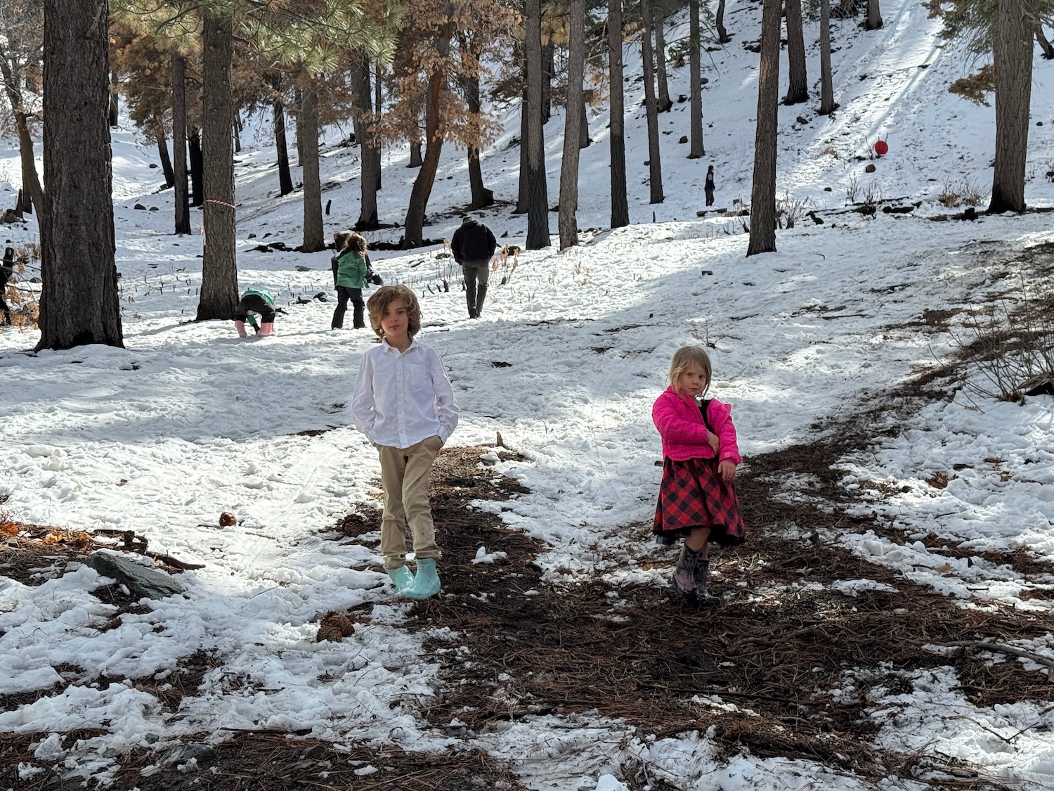 a group of kids walking on snow