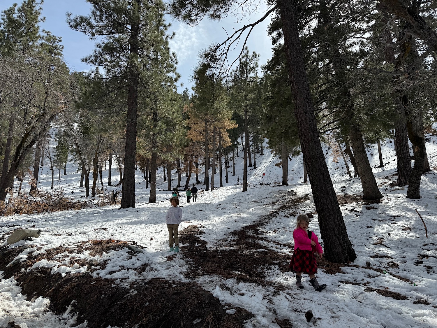 a group of kids in the snow