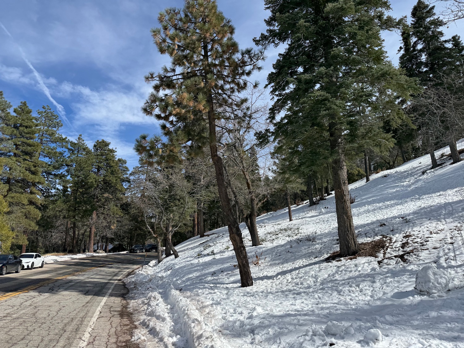 a road with snow on the side and trees