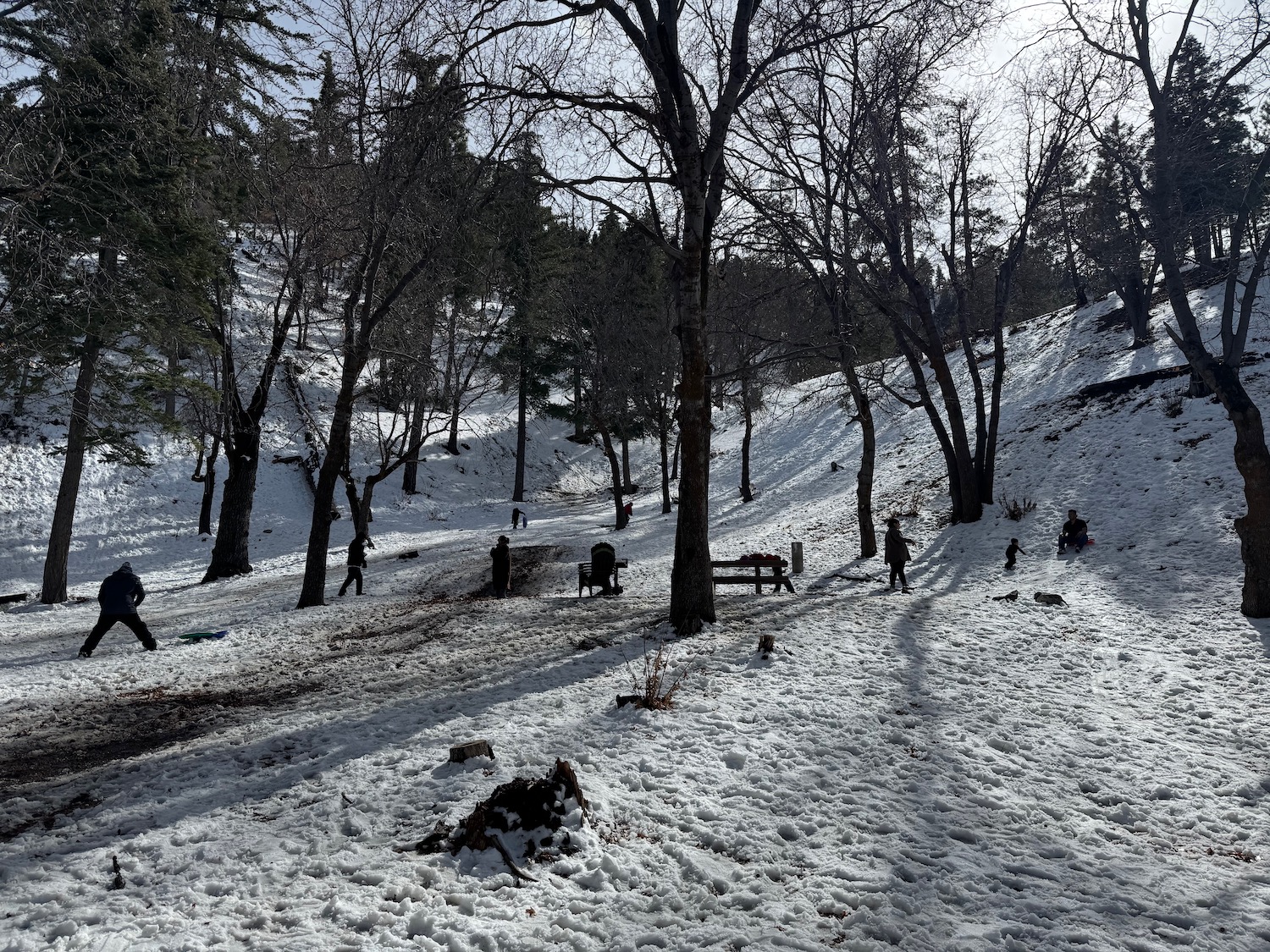 a group of people in a snowy area