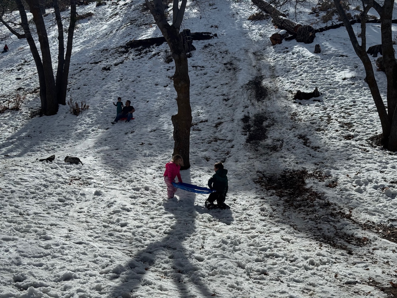 a group of kids playing in the snow