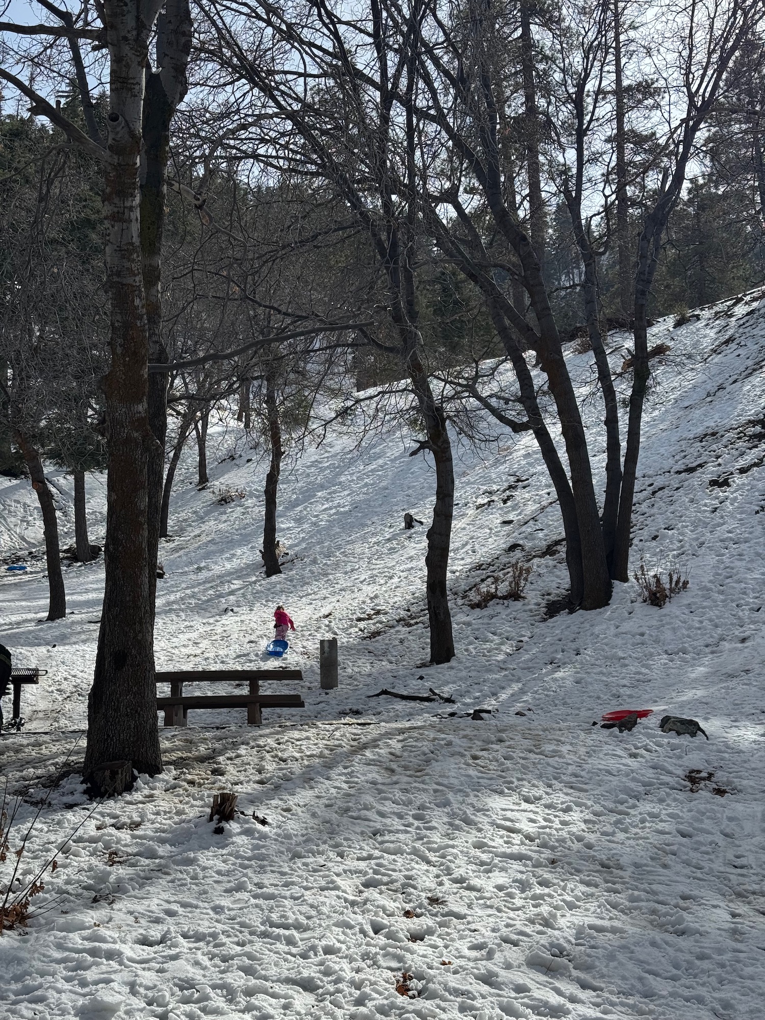 a snow covered hill with trees and a child on a sled