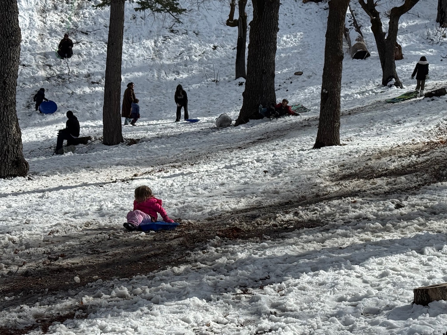 a child on a sled in the snow