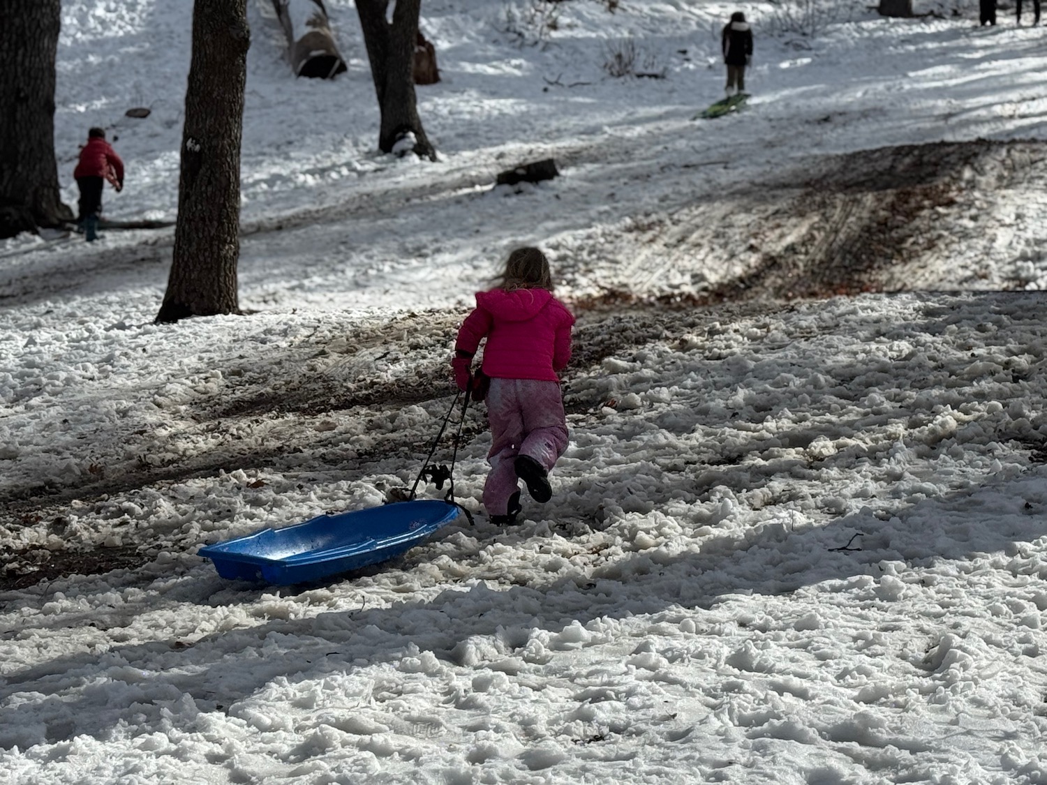 a girl pulling a sled in the snow