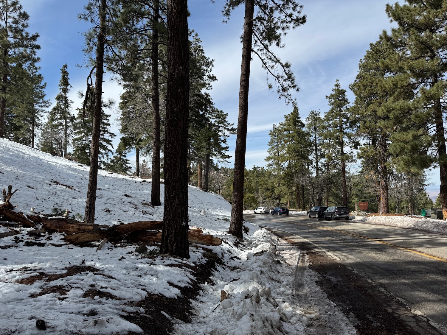 a road with snow and trees