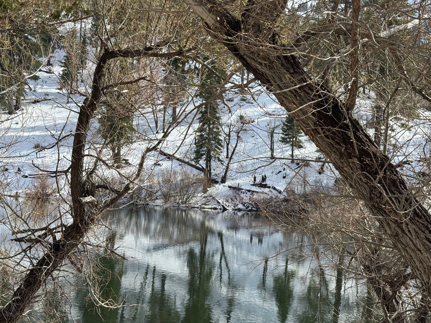 a lake with snow and trees