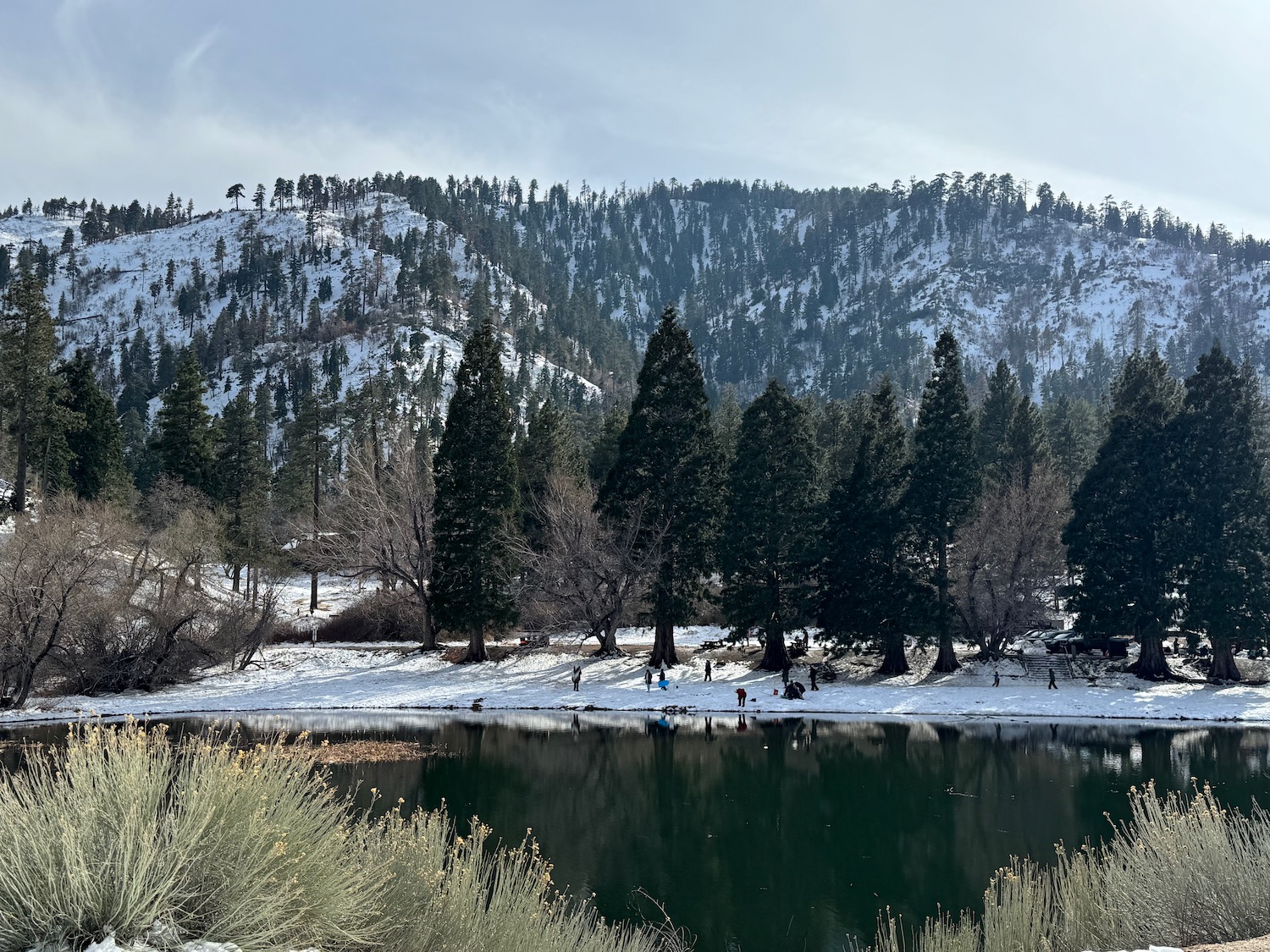 a lake surrounded by trees and mountains