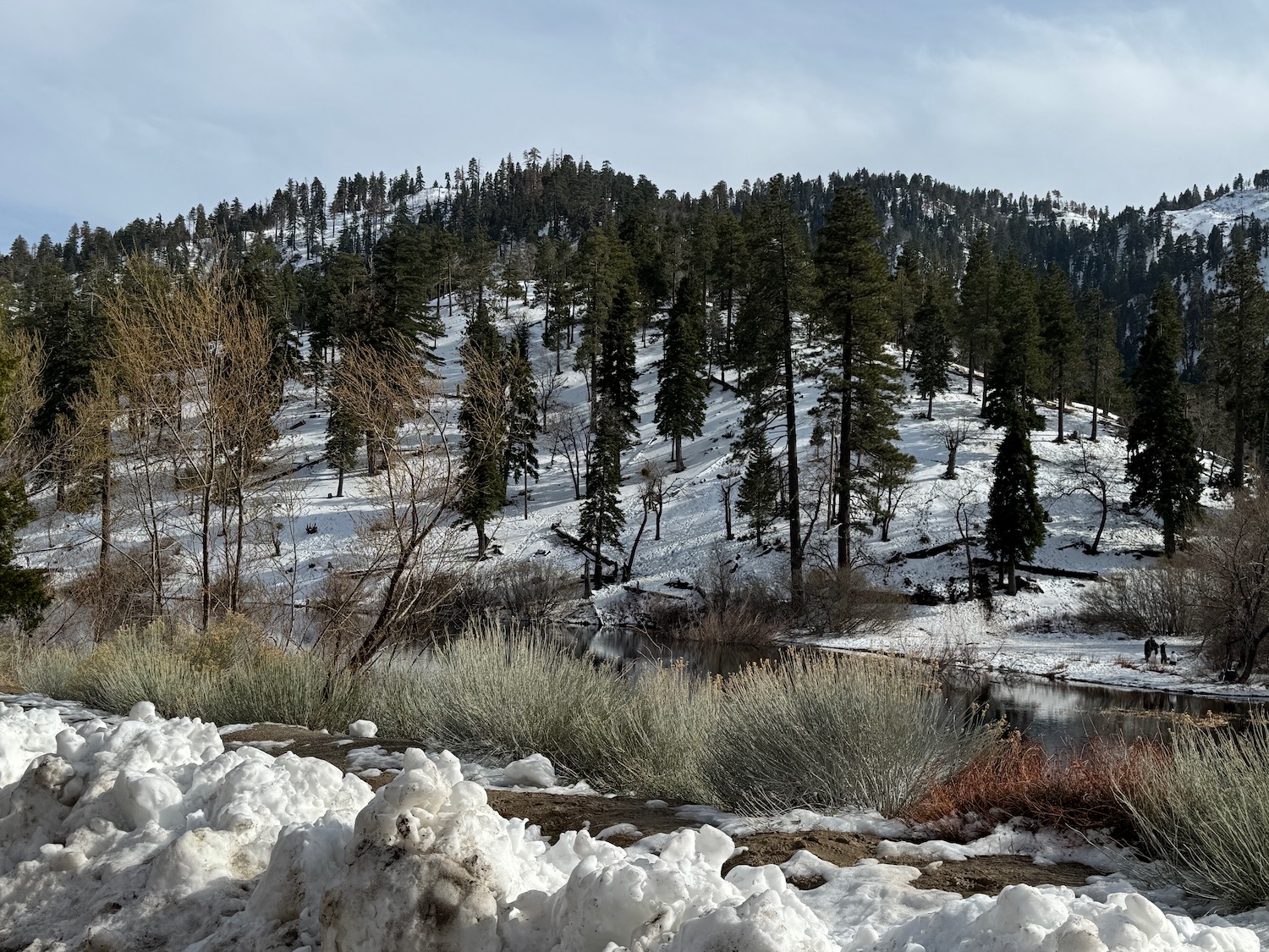 a snowy mountain with trees and a river