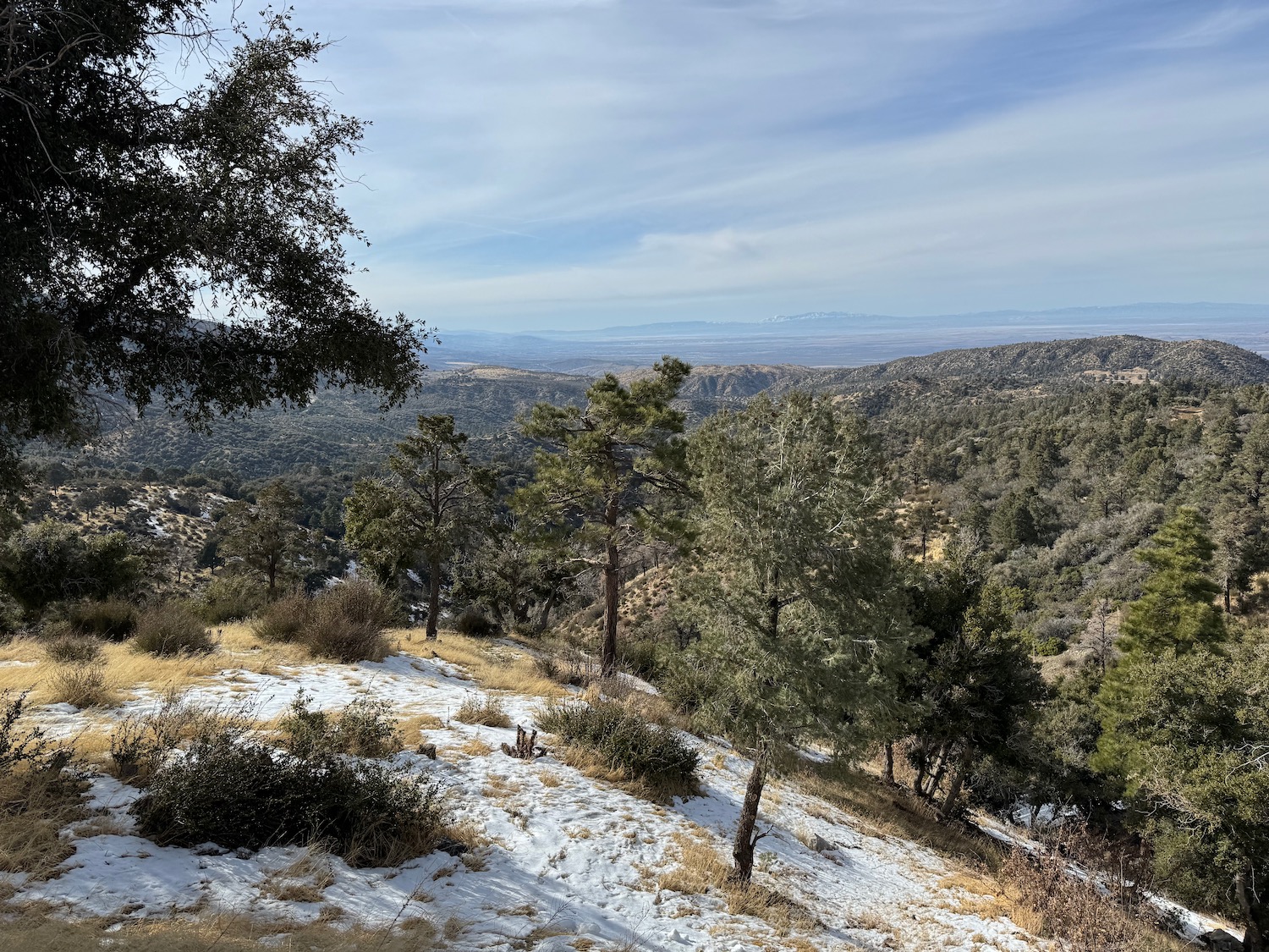 a snowy mountain with trees and hills