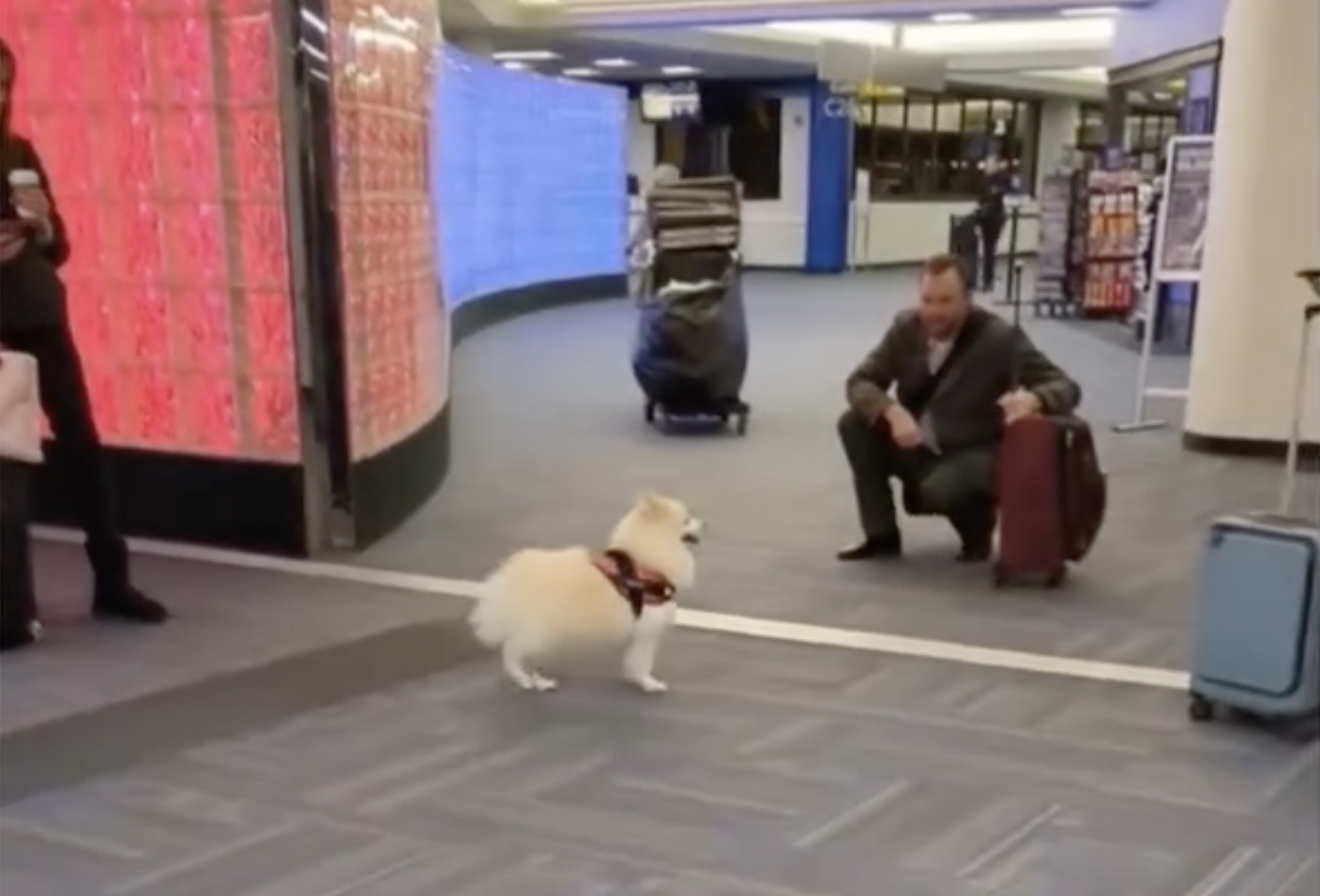 a man kneeling down with a dog in a hallway