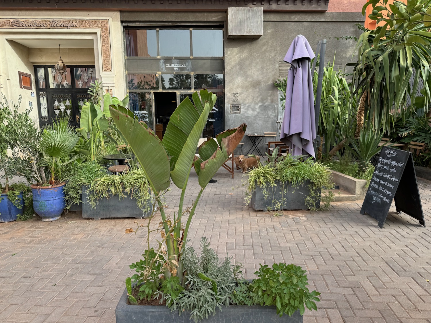 a planter with plants in it outside of a building