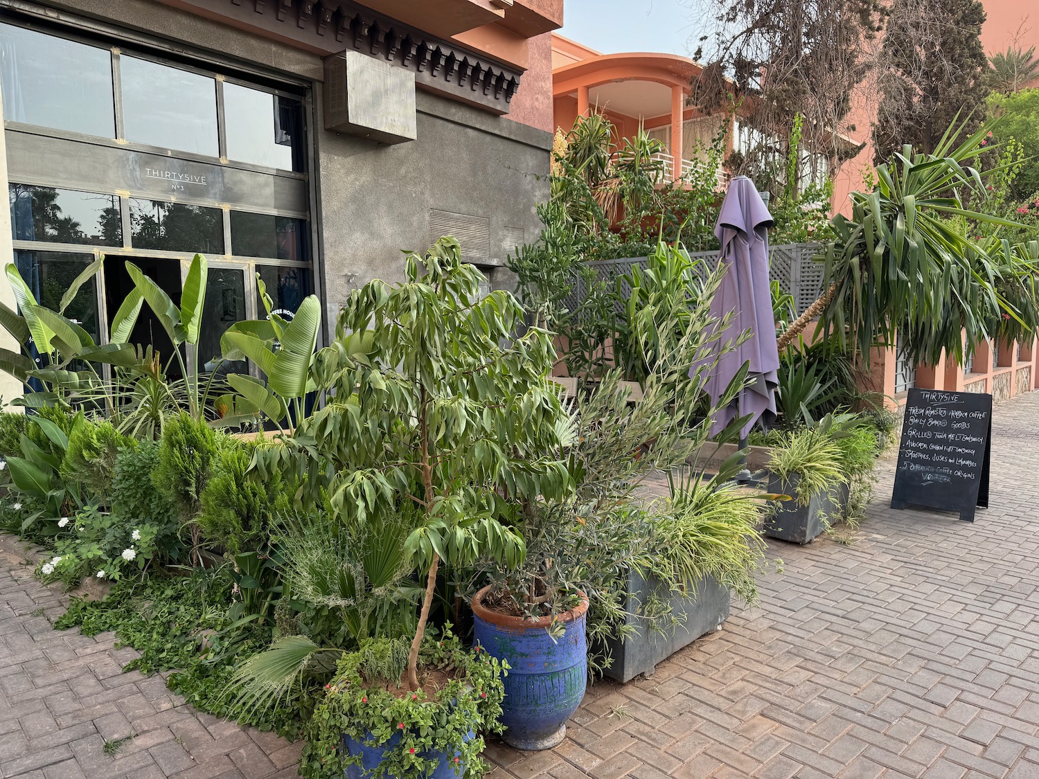 a group of plants in pots outside of a building