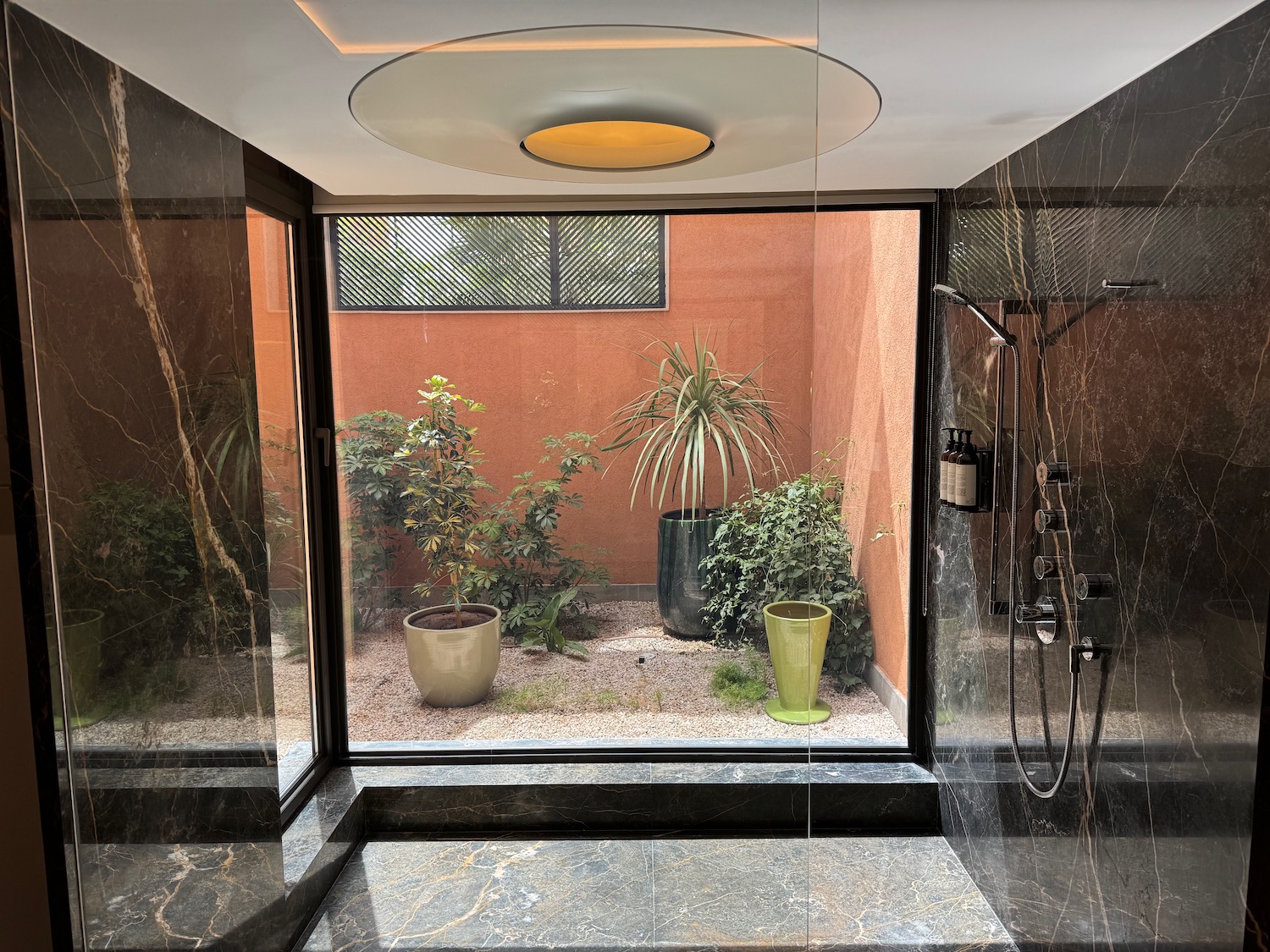 a shower with a large glass wall and plants outside