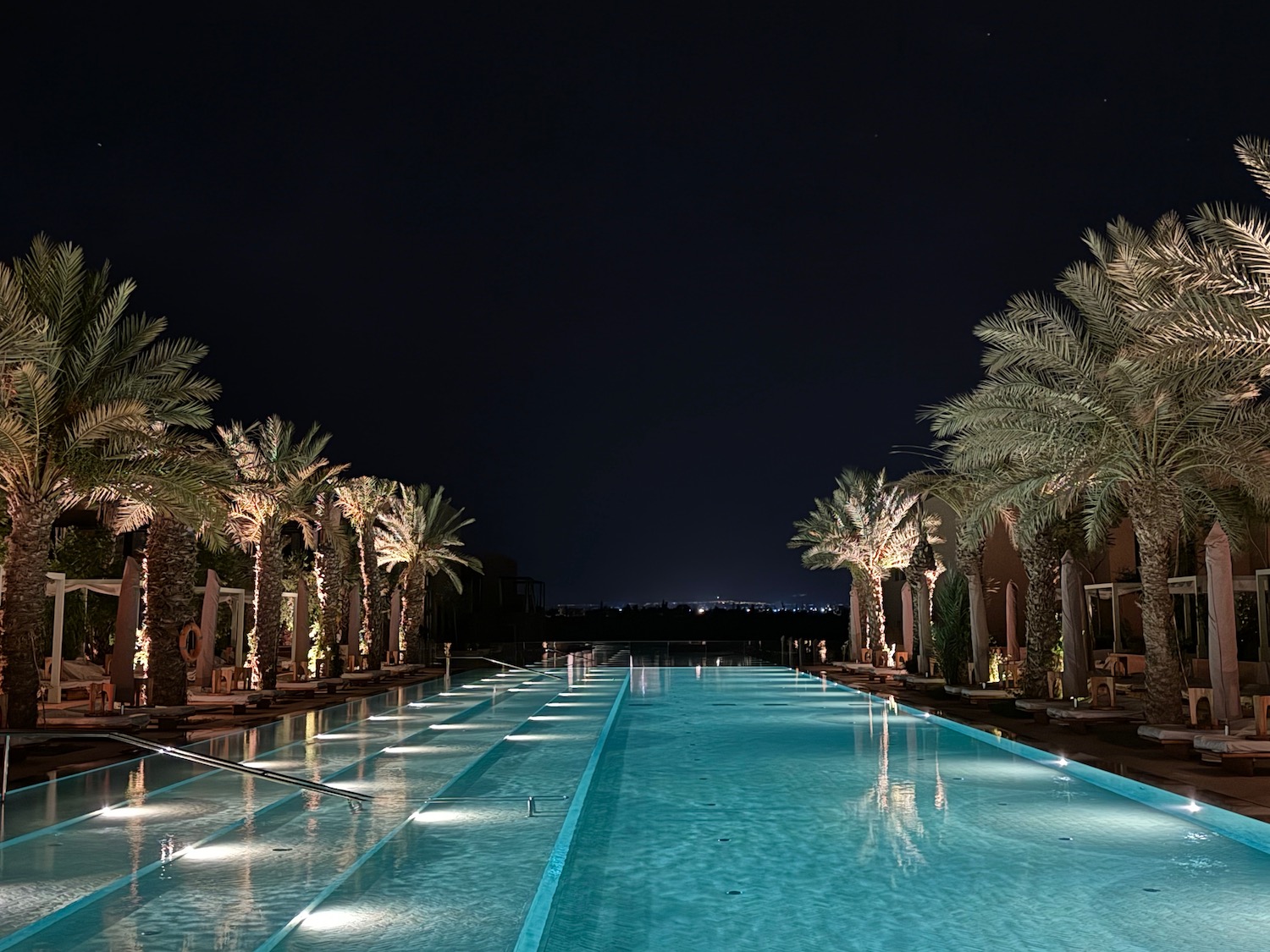 a pool with palm trees and lights at night