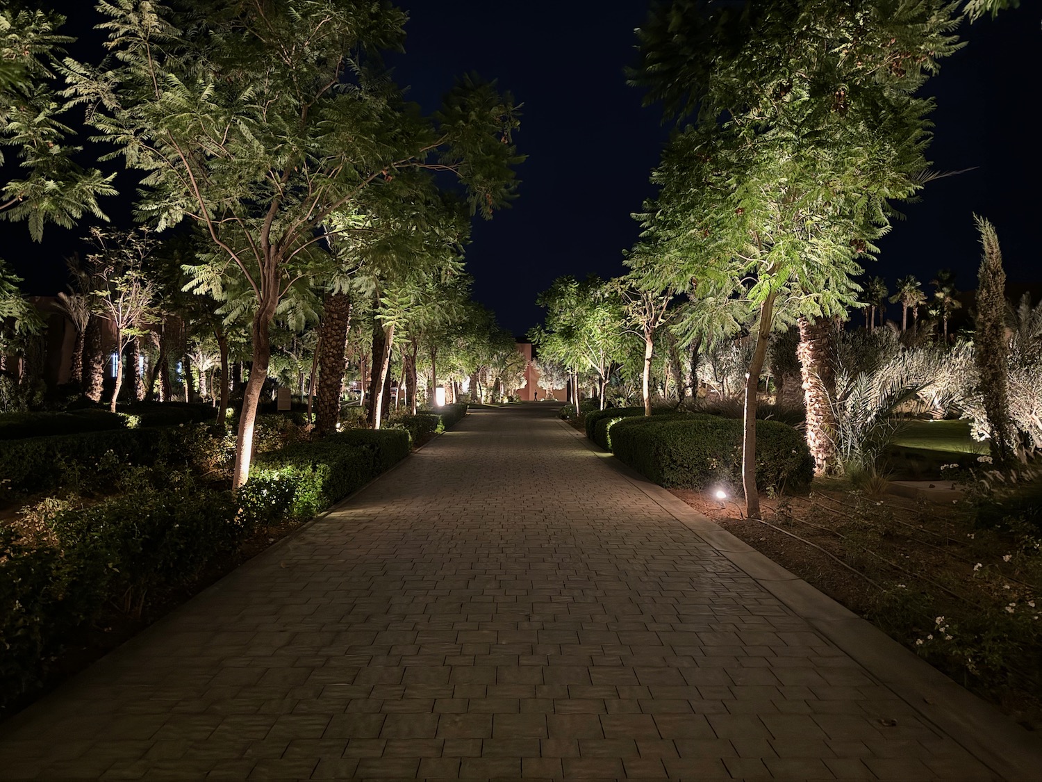 a brick path with trees and bushes at night