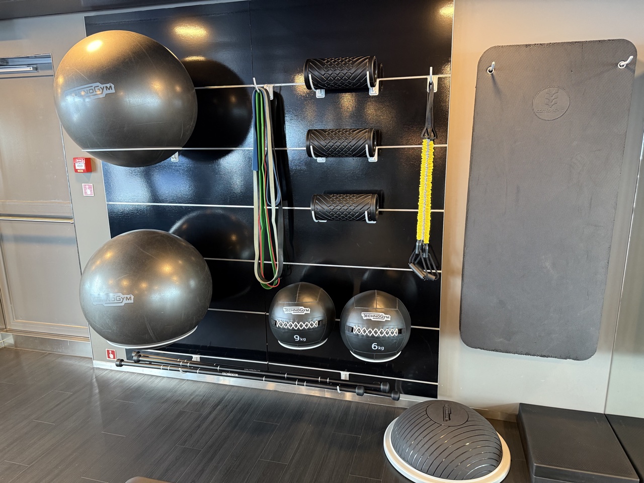 scenic cruises fitness center yoga balls