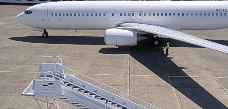 Avelo White 737 Deportation