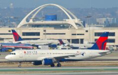 Dog Diversion Delta