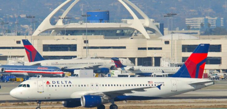 Dog Diversion Delta