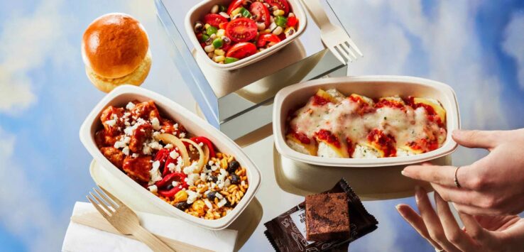 Delta Comfort+ Meal Selection