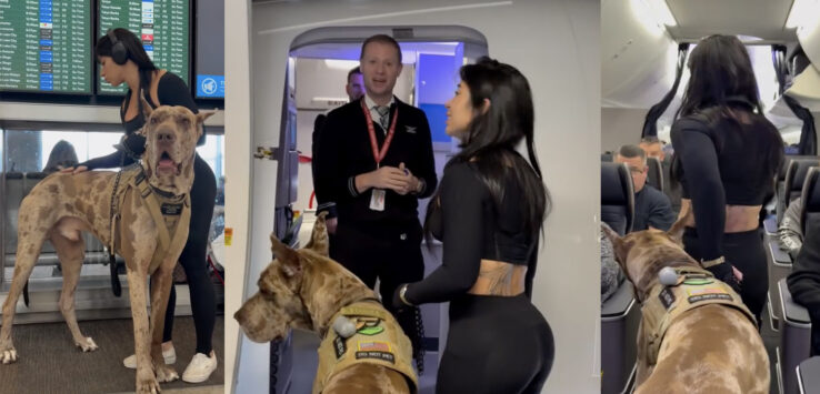 Influencer Dog United Airlines