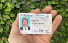a hand holding a driver license