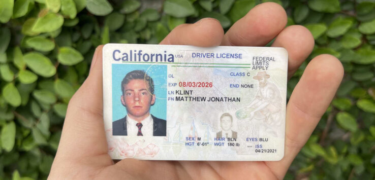 a hand holding a driver license