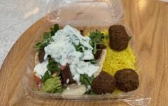 Newark Airport Lunch