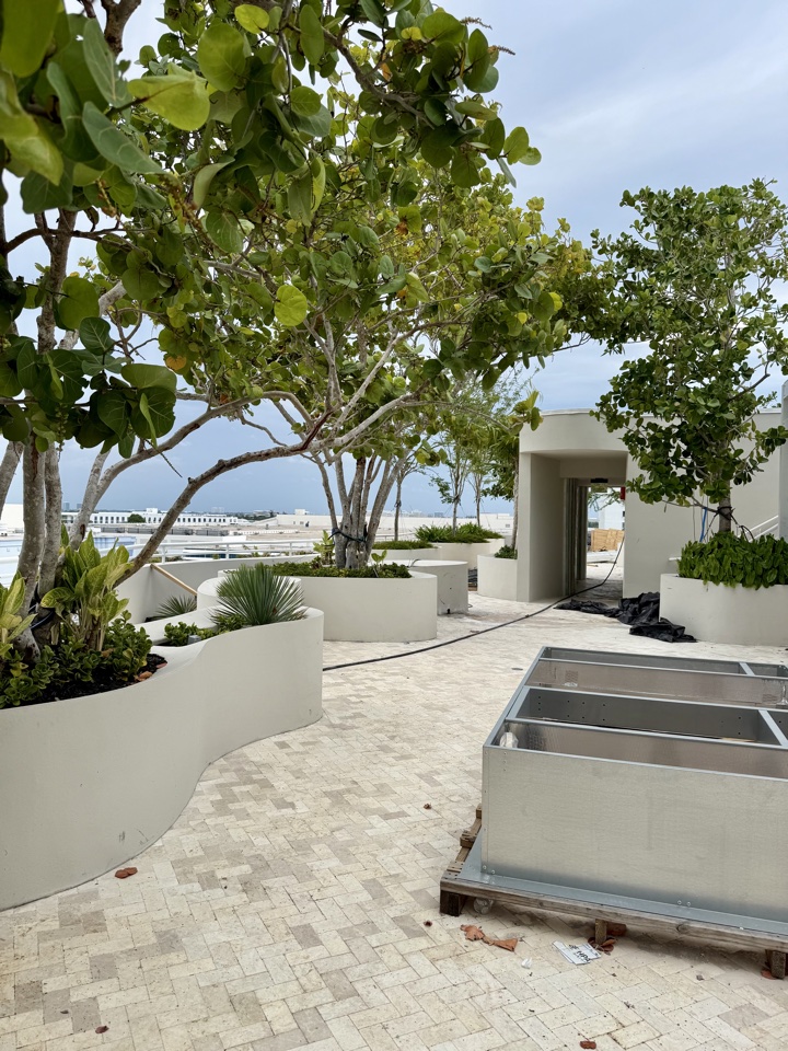 Thompson Miami Beach courtesy of Hyatt Hotels-rooftop