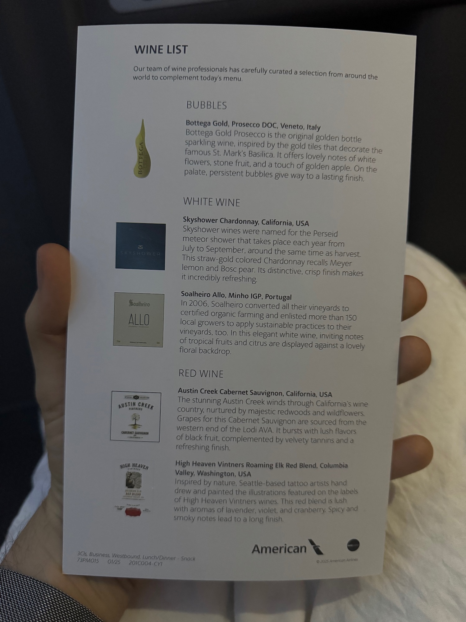 a hand holding a menu