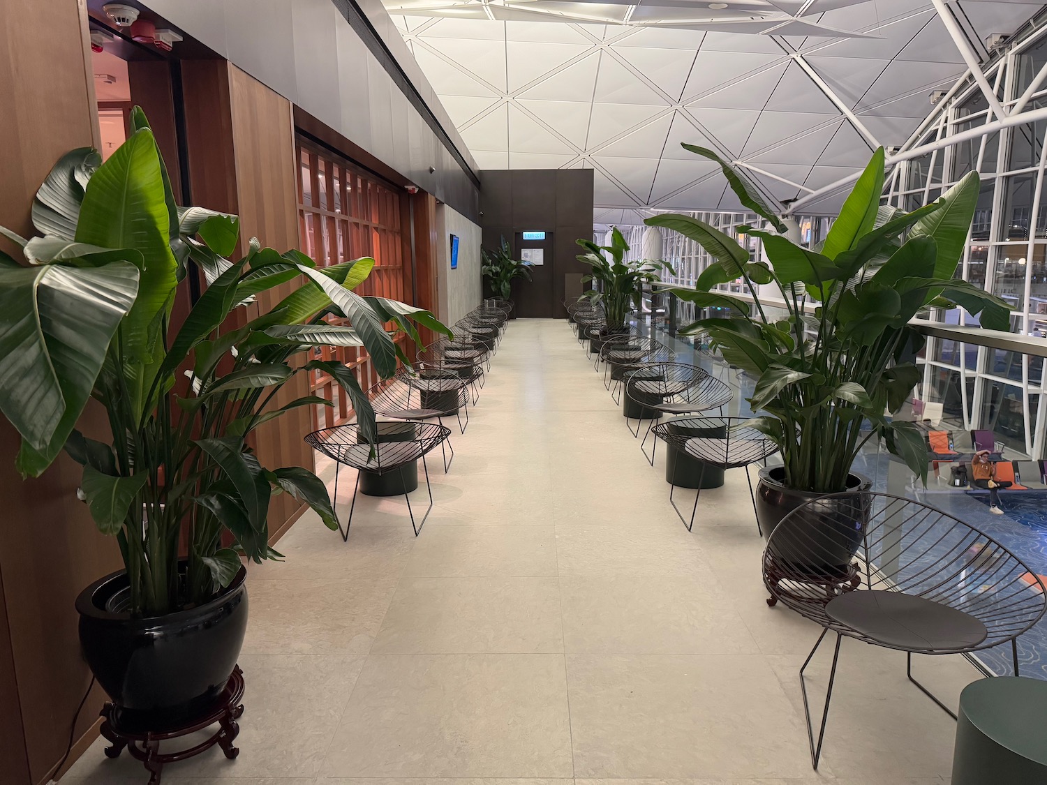 a row of chairs in a room with plants