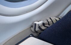 a striped pillow on a window