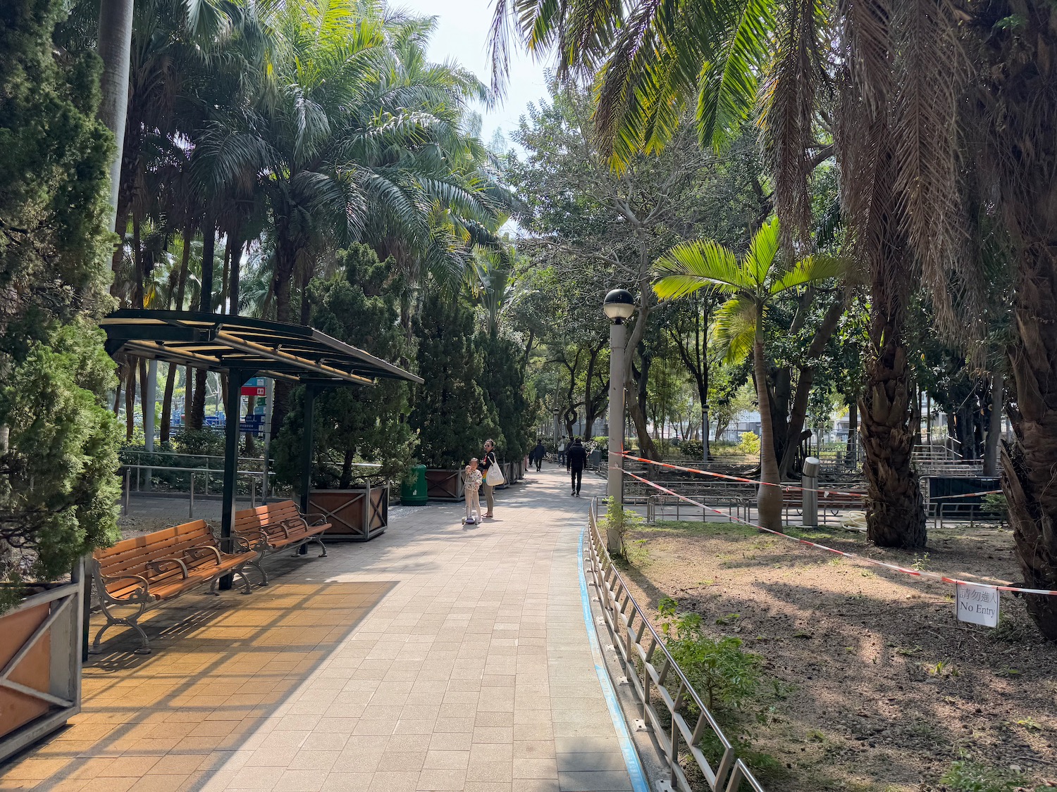 a group of people walking on a path with benches and trees