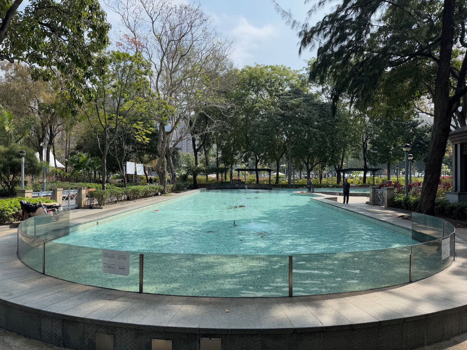 a pool with trees around it