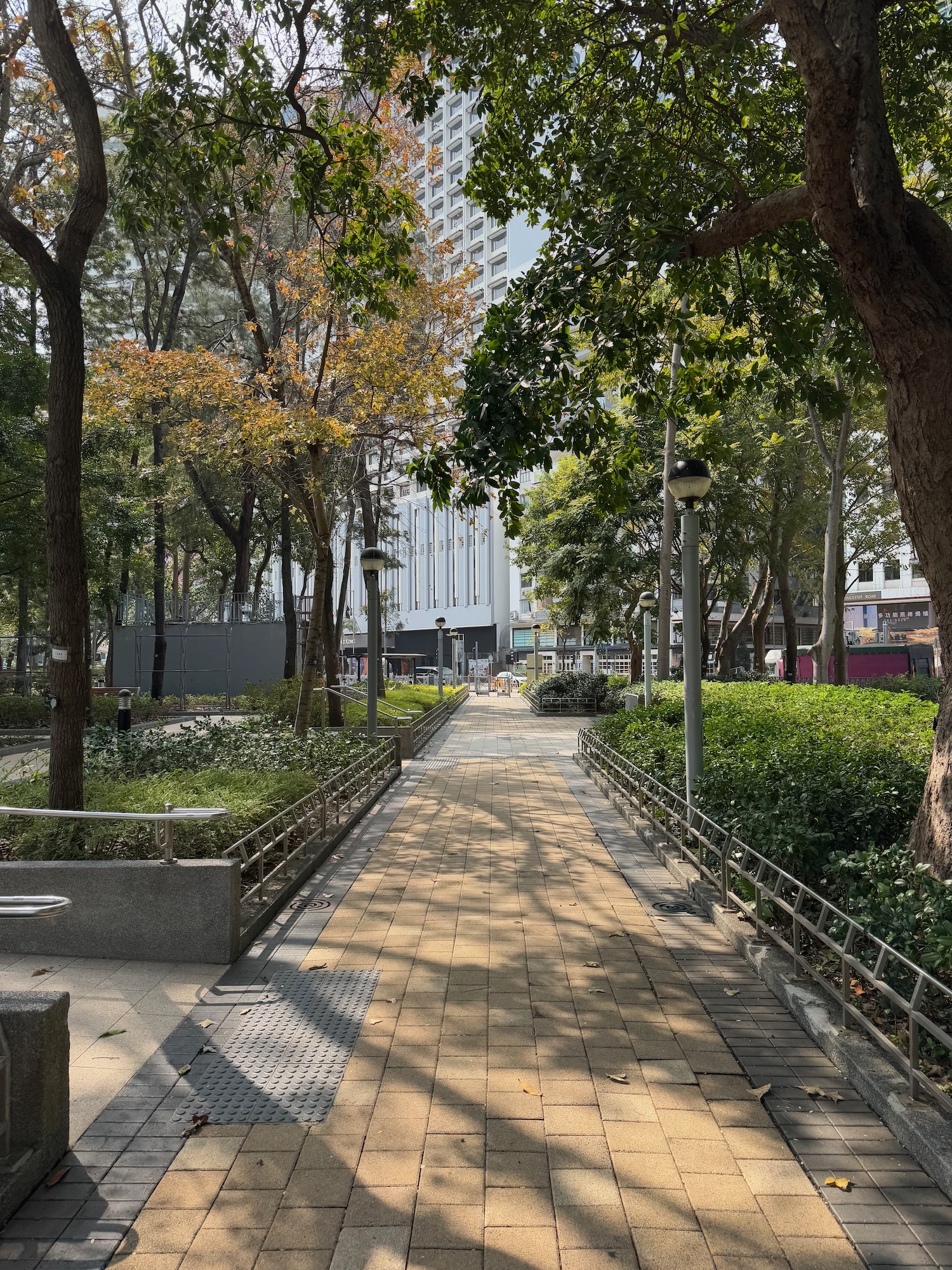 a brick path with trees and bushes