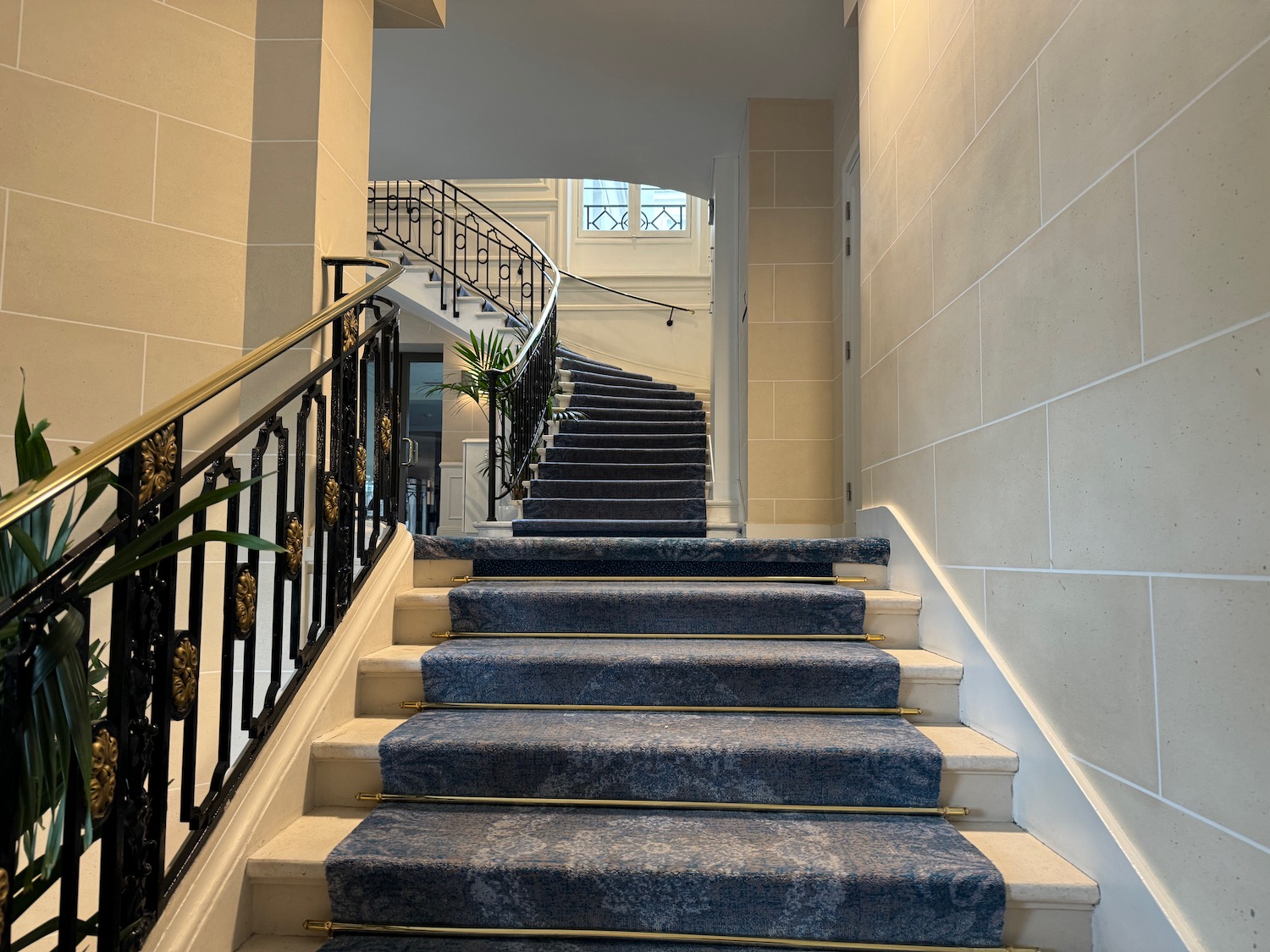 a staircase with blue carpet