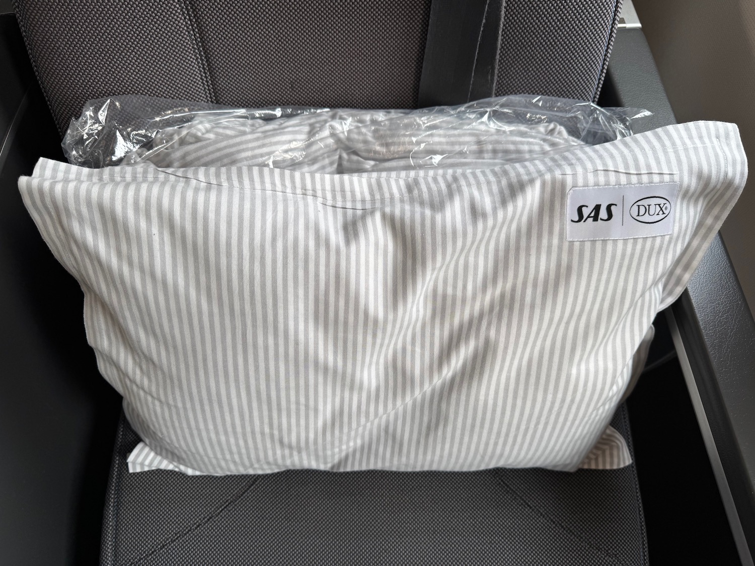 a pillow in a plastic bag