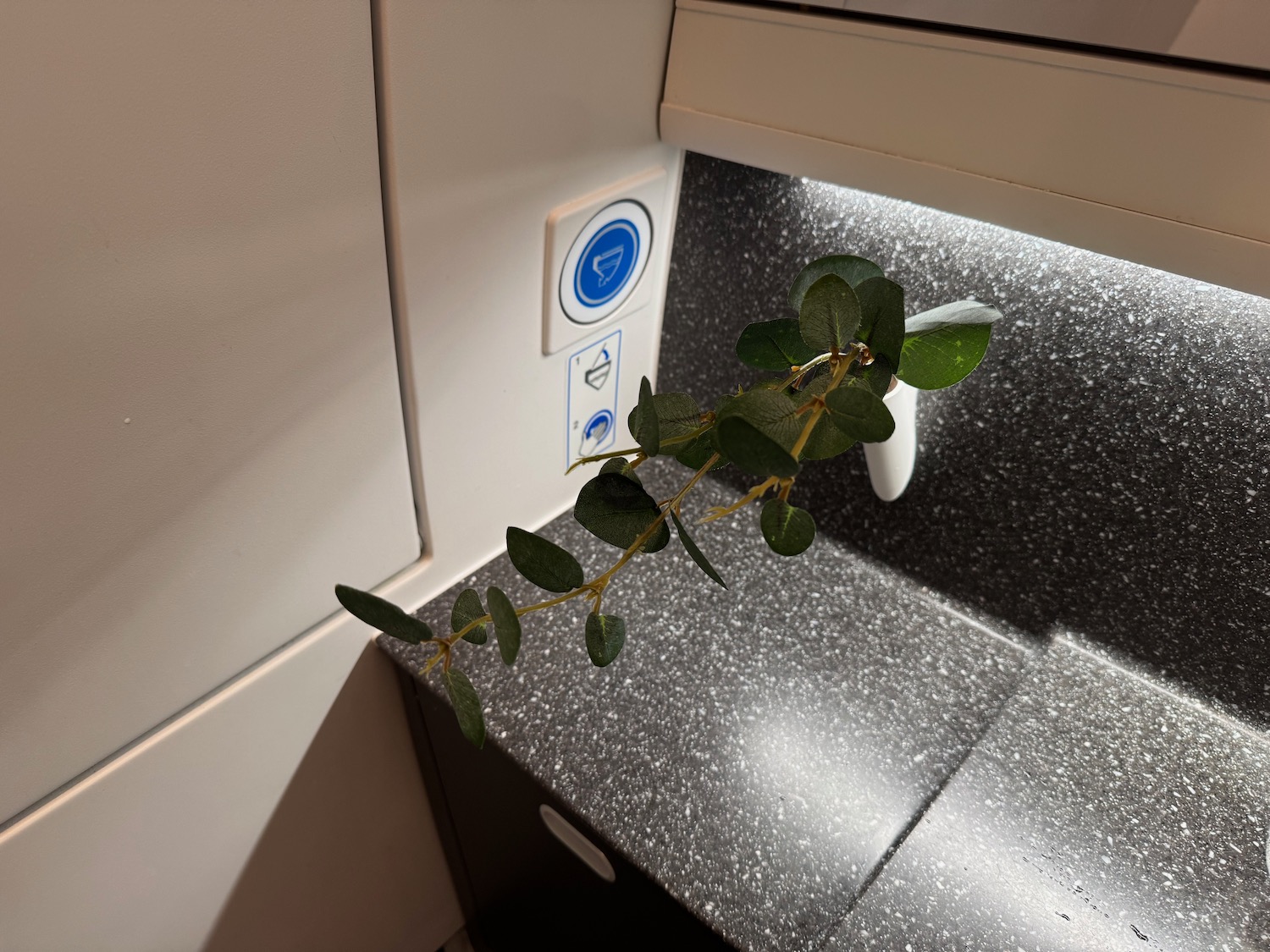 a plant in a sink
