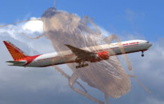 a large bug flying in the sky